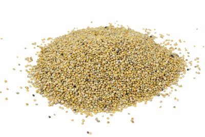 Gorczyca żółta – nasiona na poplon ścierniskowy 5kg
