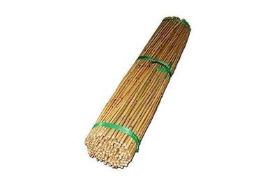Tyczka bambusowa 210cm, średnica 20-22mm (10 szt)