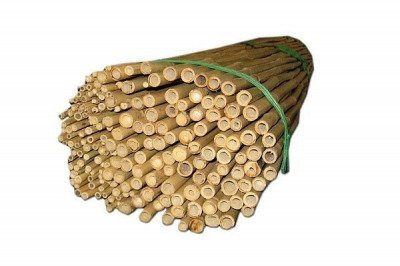 Tyczki bambusowe 150cm, średnica 10-12mm (100 szt)